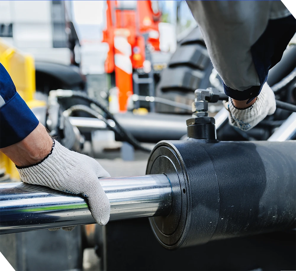 Warranty and Service Standards